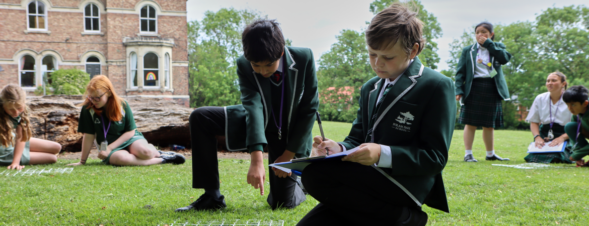 Rsz webpnet resizeimage 7